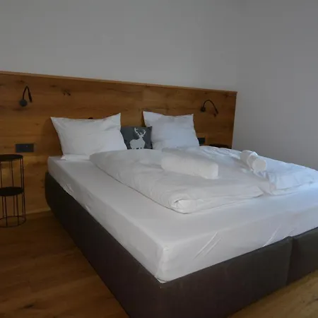 Alpin 1100 Apartment Steeg